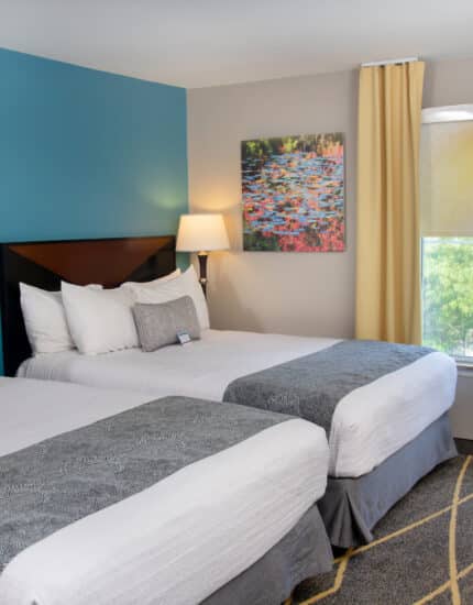 Hotel room with two double beds, gray and white bedding, blue accent wall, artwork, window with gold curtains, and a nightstand with a lamp between the beds.