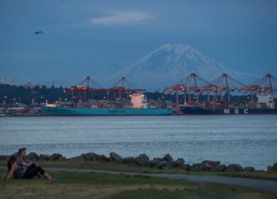 A couple sits on grass by the water with a view of shipping containers, cranes, docked cargo ships, and a snow-capped mountain in the background.