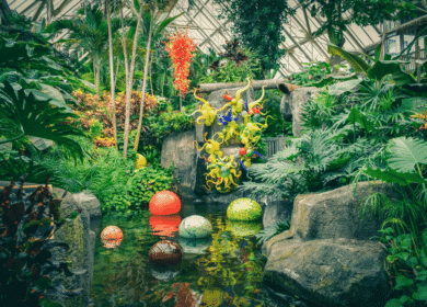 Indoor garden with lush green plants, colorful glass sculptures hanging and floating on a pond, and rocks surrounding the water, inside a glass-roofed conservatory.