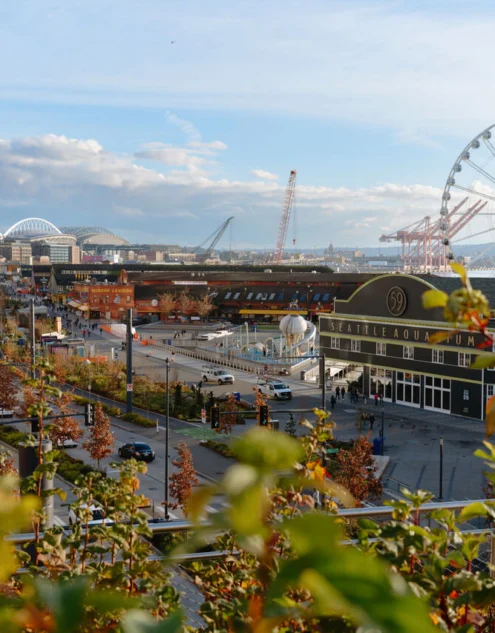 Rooftop view over waterfront promenade with Seattle Great Wheel, aquarium entrance, city skyline and harbour — ideal for waterfront hotel stays