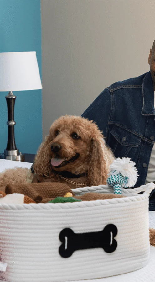 Guest with small brown doodle dog relaxing on a crisp white king bed beside bedside lamp and pet toy basket — pet‑friendly hotel room.